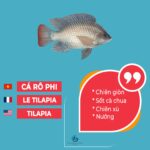Cá rô đồng climbing perch