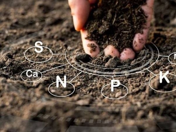 Xe Tải Mỹ Đình cung cấp đa dạng các loại phân bón hữu cơ, vi sinh, đảm bảo chất lượng và hiệu quả cho mùa vụ bội thu