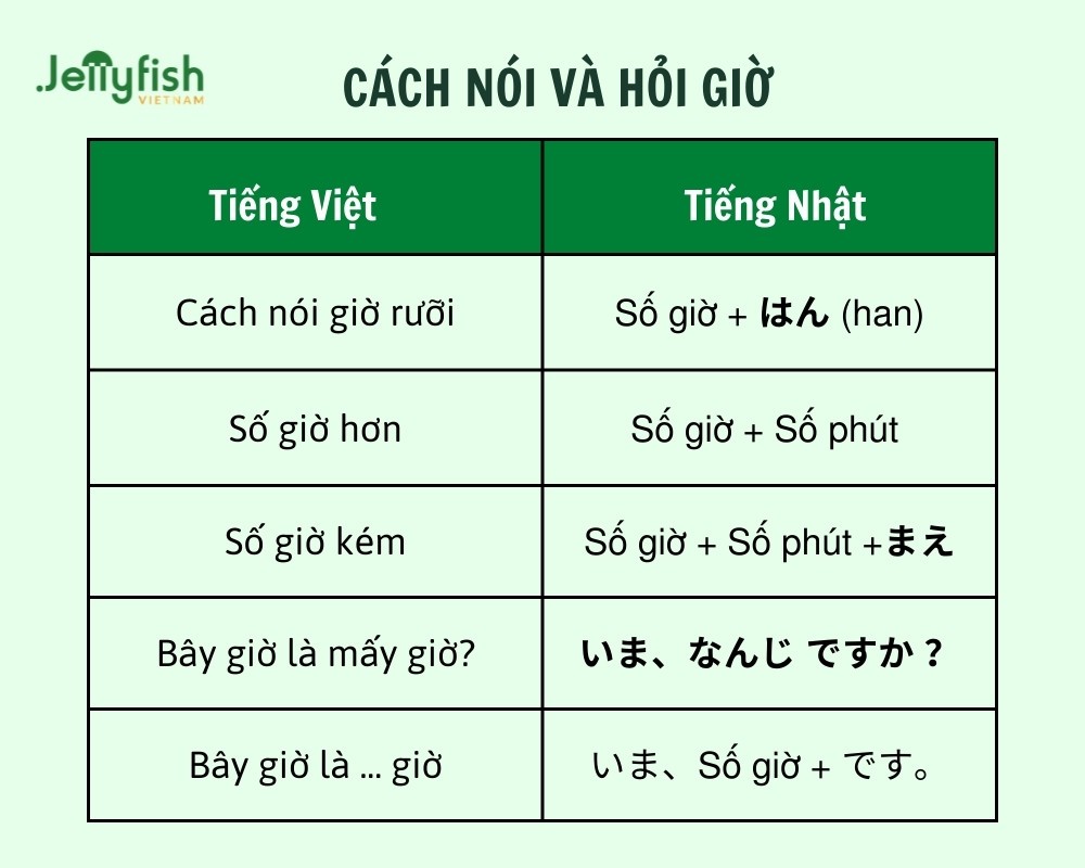 Các công cụ hỗ trợ tính toán thời gian trong ngành vận tải, từ phần mềm TMS đến ứng dụng GPS