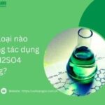 Axit Sunfuric H2SO4 loãng không tác dụng với một số kim loại