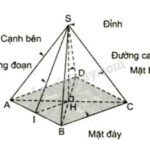 Hình chóp đều S.ABCD và trung đoạn