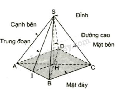 Hình chóp đều S.ABCD và trung đoạn