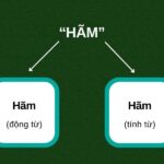 Hãm trà là gì? Hãm trà là cách pha trà bằng cách đổ nước sôi vào trà và giữ nhiệt để chiết xuất hương vị và chất dinh dưỡng
