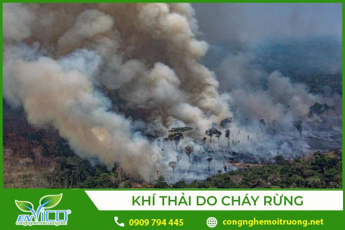Cháy rừng làm đất bị xói mòn và suy thoái