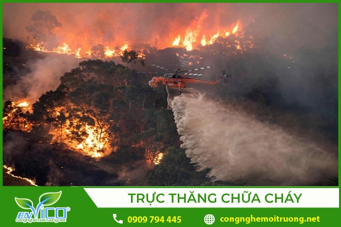 Cháy rừng gây thiệt hại lớn về tài sản và ảnh hưởng đến đời sống của người dân