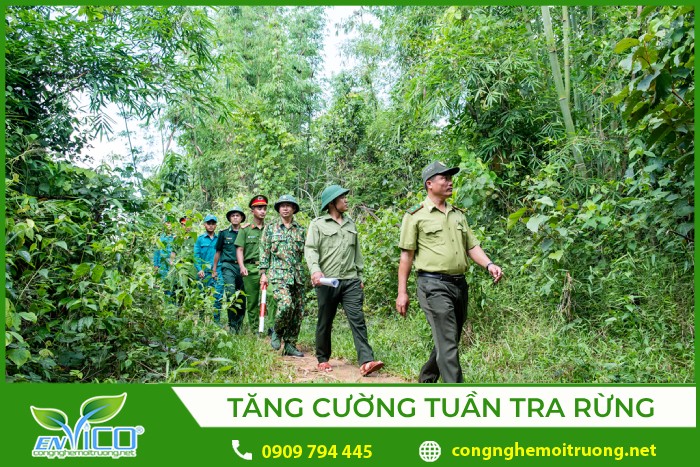 Lực lượng chức năng tham gia chữa cháy rừng