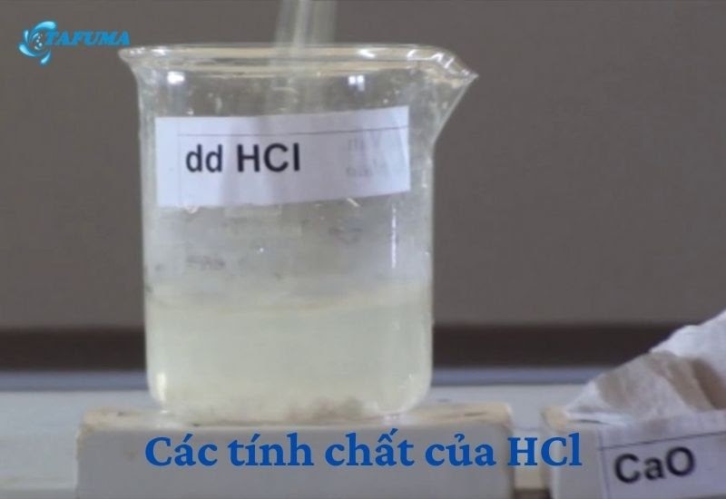 Các kim loại đứng sau hidro trong dãy điện hóa không phản ứng với HCl