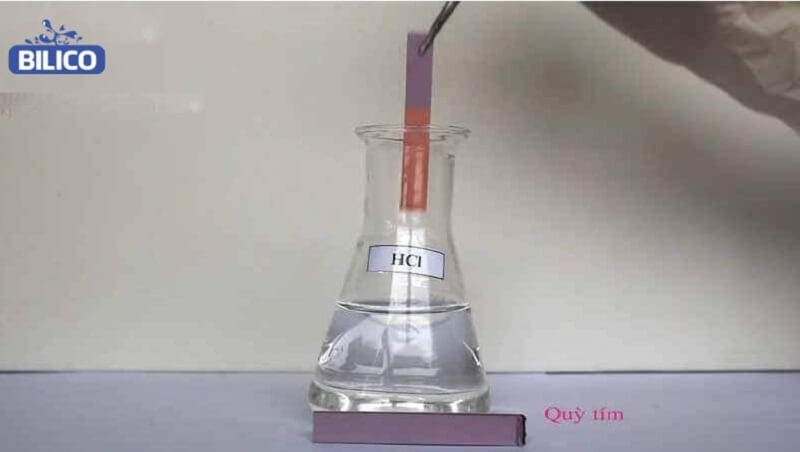 Phản ứng đổi màu quỳ tím