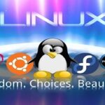 Ảnh chụp màn hình hệ điều hành Linux