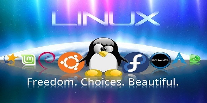Ảnh chụp màn hình hệ điều hành Linux