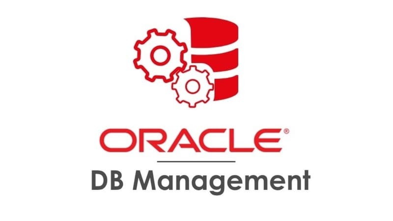 Oracle DBMS