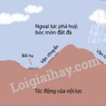 Hình ảnh mô phỏng quá trình nội lực tác động tạo núi