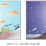 Gió biển thổi từ biển vào đất liền ban ngày