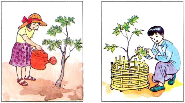 Hoa hướng dương vàng tươi nở rộ, khoe sắc dưới ánh mặt trời rực rỡ, mang đến niềm vui và sự ấm áp