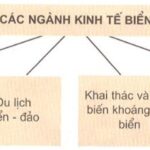 Khai thác hải sản