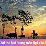 Cánh đồng lúa chín vàng