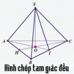 Hình chóp tam giác đều