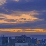 Hình nền phong cảnh rừng cây xanh mát cho học tập chill