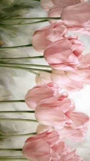 Hình nền hoa tulip vẽ cách điệu độc đáo