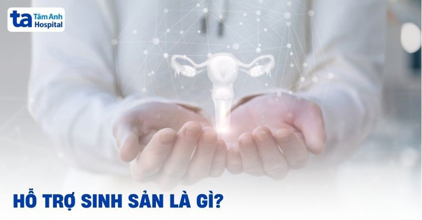 Em bé Louise Brown, em bé IVF đầu tiên trên thế giới
