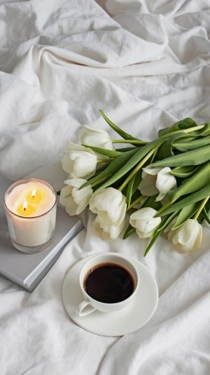 Hình nền hoa tulip trắng tinh khôi