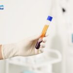 Huyết tương là thành phần quan trọng trong cấu tạo máu, chiếm hơn một nửa thể tích máu