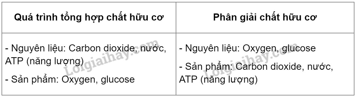 Làm tơi xốp đất để cung cấp oxygen cho rễ cây