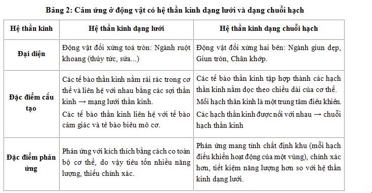 Hệ thần kinh dạng chuỗi hạch