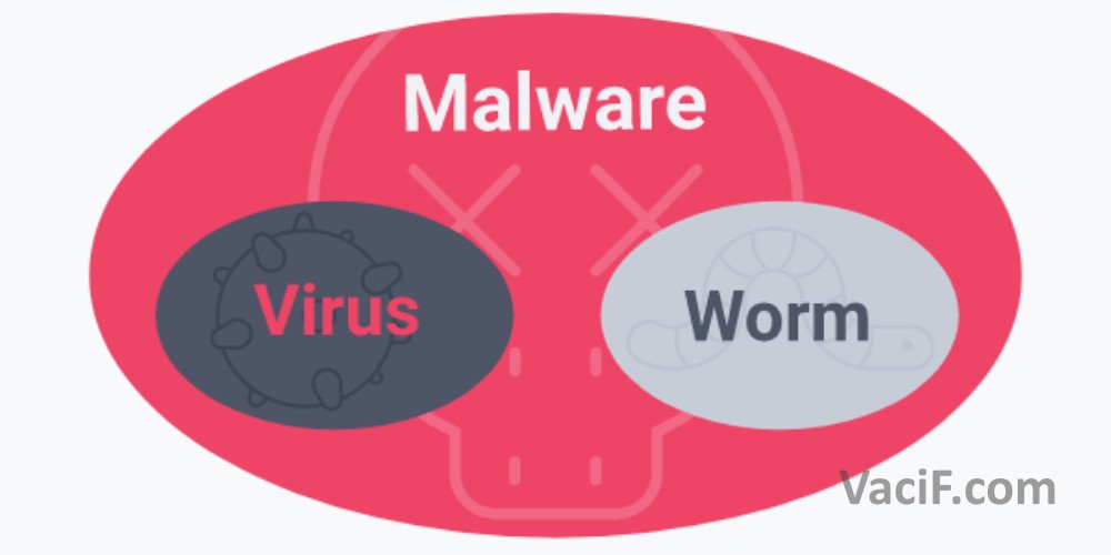 Hình ảnh so sánh Malware, Virus, Worm