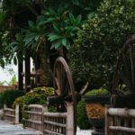 Một người đang ngắm nhìn bình minh trên đồi, thể hiện sự trân trọng vẻ đẹp của thiên nhiên.