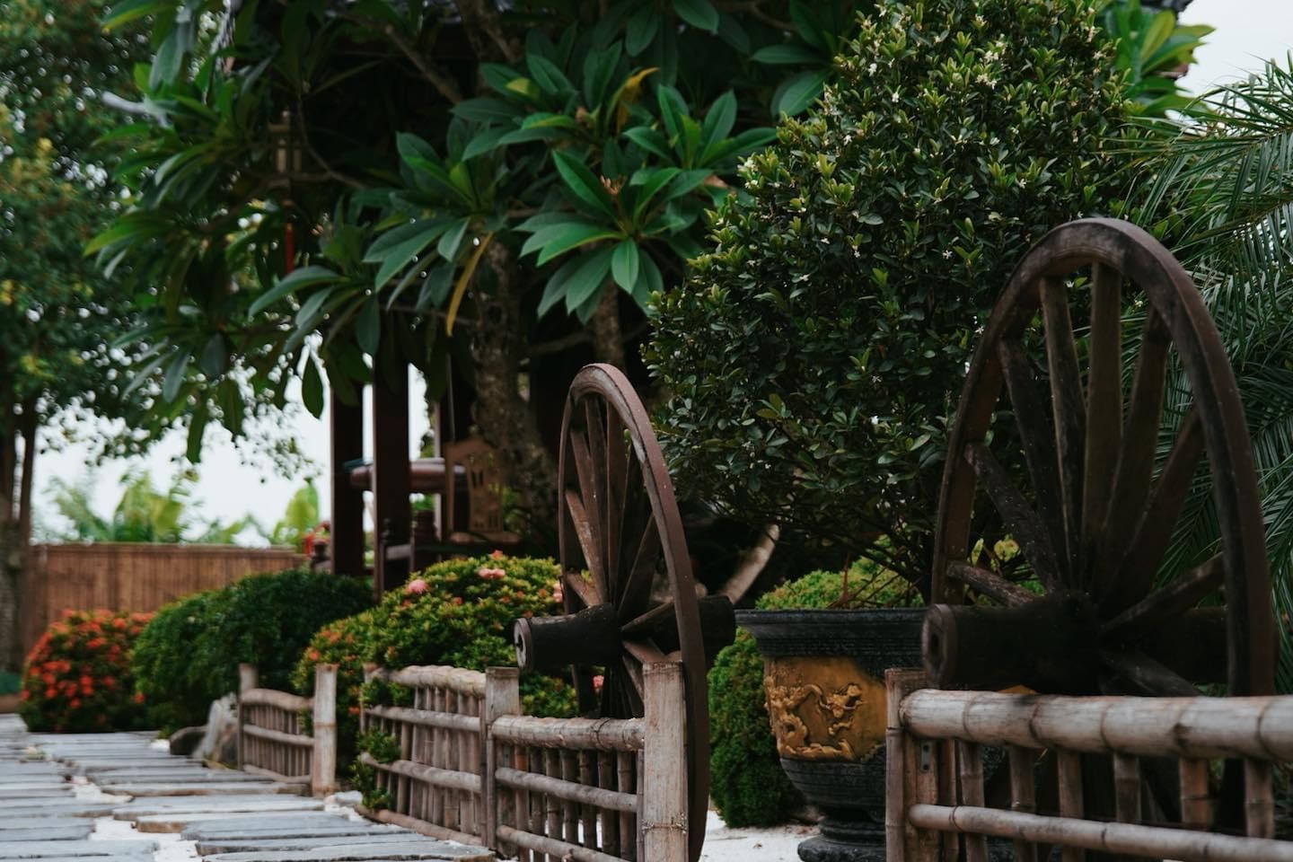 Một người đang ngắm nhìn bình minh trên đồi, thể hiện sự trân trọng vẻ đẹp của thiên nhiên.