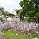 Tiểu thương buồn rười rượi vì hoa, cây cảnh ế, đại hạ giá cũng không ai mua- Ảnh 1.