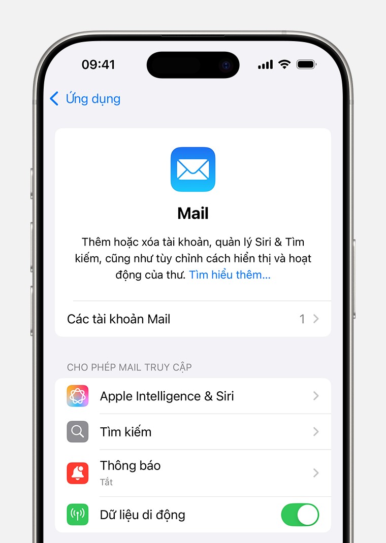 Màn hình cài đặt Mail trong iOS 18