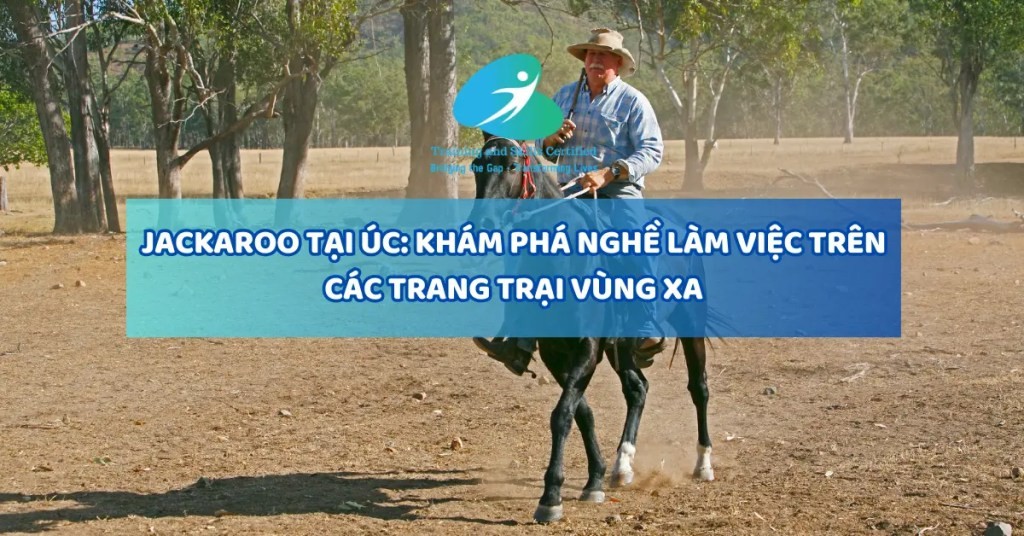 Một jackaroo đang làm việc