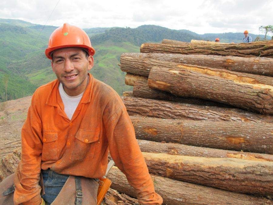 Công nhân lâm nghiệp Jair Tintinago ngồi cạnh công việc của mình tại một trang trại trồng thông được chứng nhận ở Colombia, thể hiện cam kết quản lý rừng bền vững