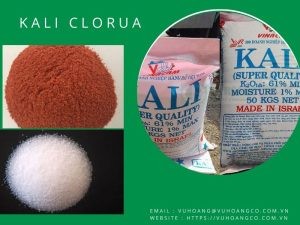 Tinh thể muối Kali Clorua