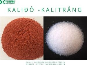 Màu sắc của muối Kali Clorua
