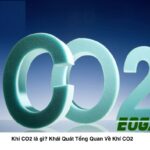 Khí CO2 là gì Tổng quan về khí CO2