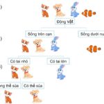 Sơ đồ phân loại động vật bằng khóa lưỡng phân