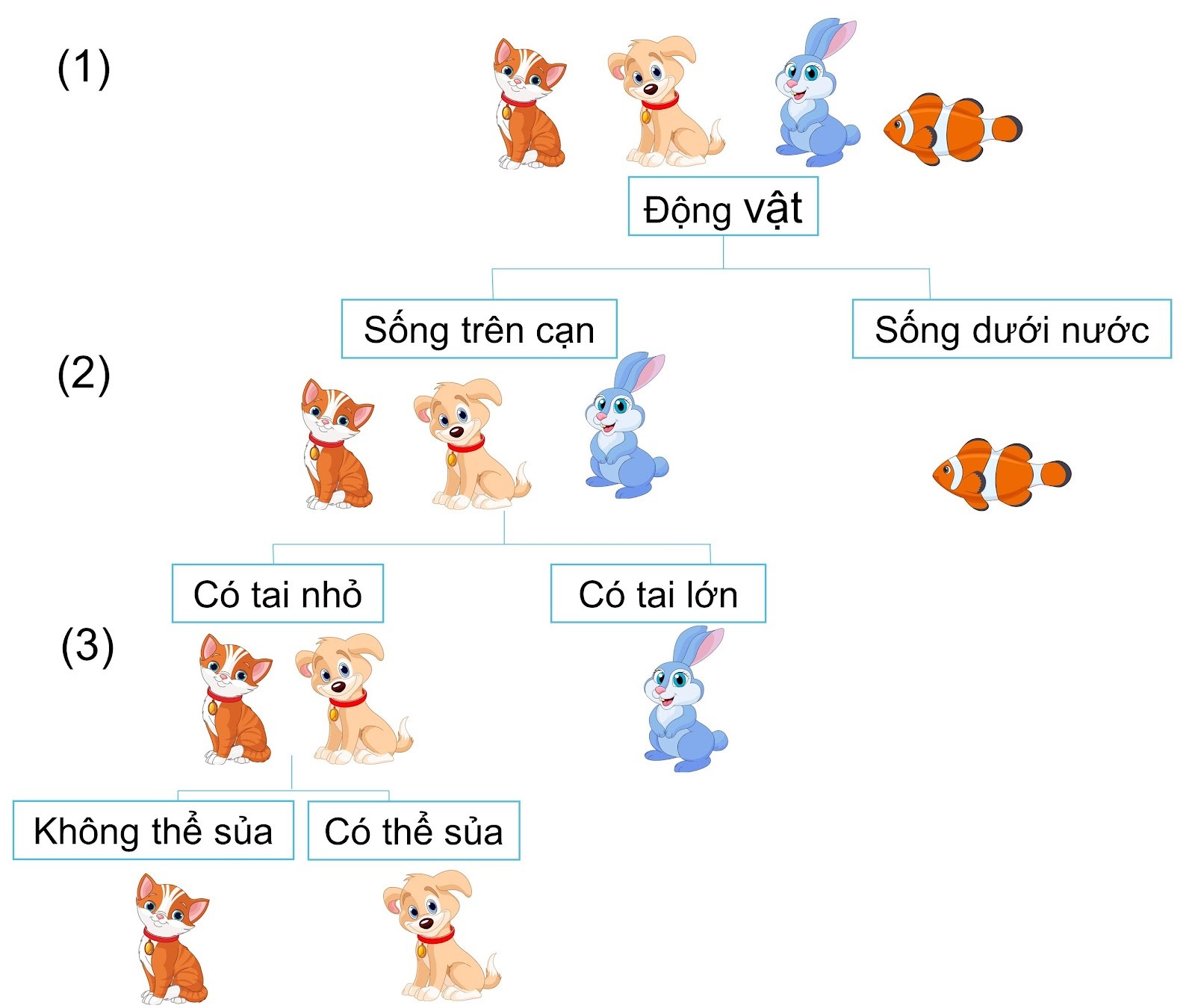 Sơ đồ phân loại động vật bằng khóa lưỡng phân