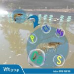 mô tả cấu trúc chitin trong tự nhiên