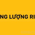 Phân biệt khối lượng riêng và trọng lượng riêng