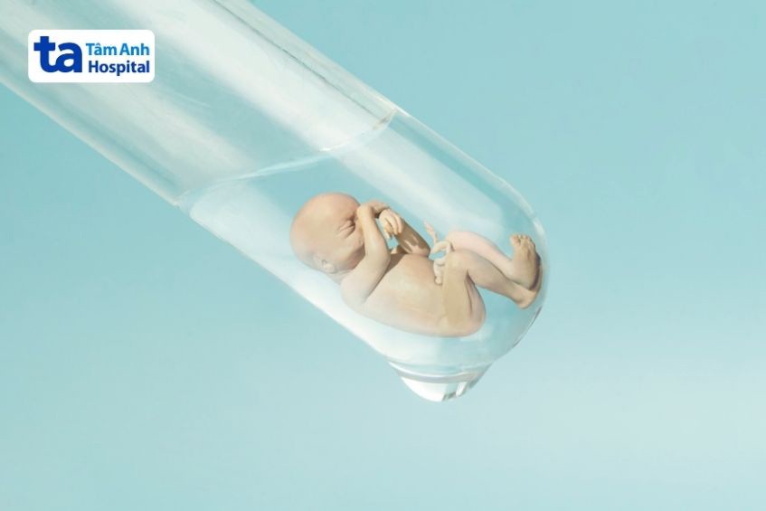 Xét nghiệm di truyền tiền làm tổ (PGT) giúp sàng lọc phôi khỏe mạnh