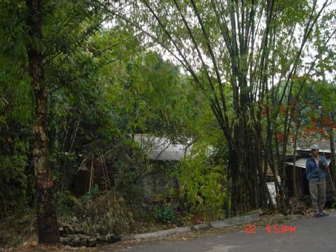 Con đường làng đã được bê tông hóa