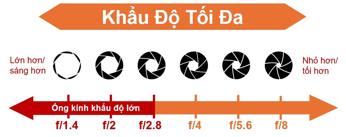 Bokeh đẹp mắt từ ống kính khẩu độ lớn