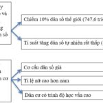 Sơ đồ hệ thống hóa đặc điểm dân cư châu Âu