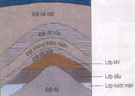 Sơ đồ cấu tạo mỏ dầu