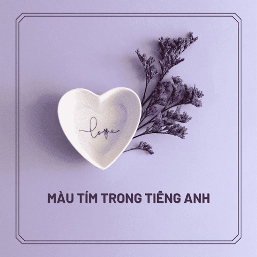 Sắc thái màu tím đa dạng trong tiếng Anh