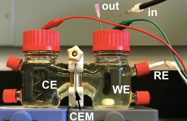 Pin vi sinh được tạo ra từ vi khuẩn điện sinh mới được phát hiện. Điện cực (CE, WE) được đặt trong các bình chứa đầy vi khuẩn, tạo ra điện áp lên đến nửa milivolt