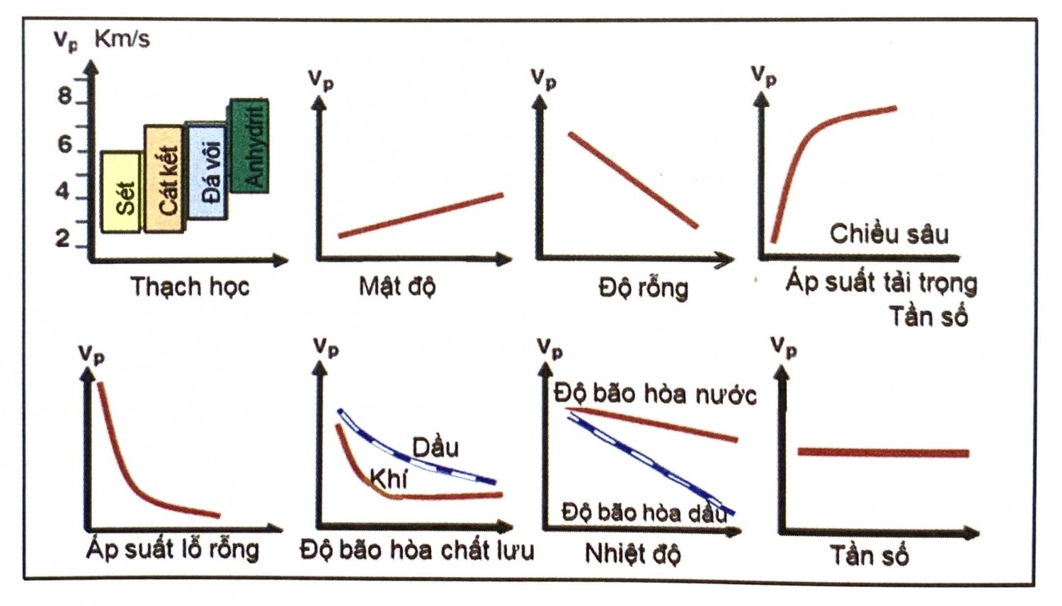 Các yếu tố ảnh hưởng đến tốc độ sóng dọc